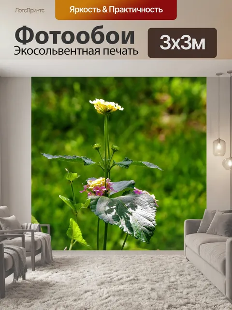 Фотообои Цветы