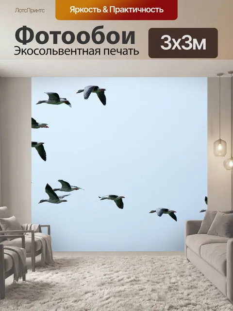 Фотообои Стая птиц