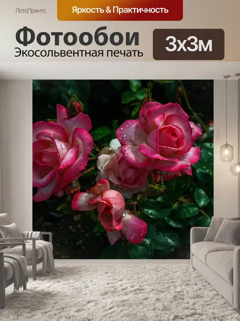 Фотообои Розы