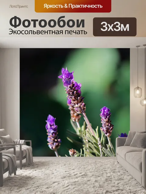 Фотообои стебель лаванды с фиолетовым цветком