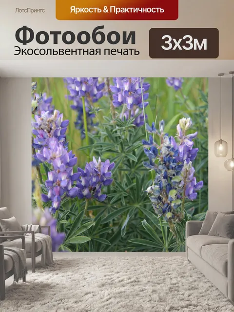 Фотообои Фиолетовые полевые цветы