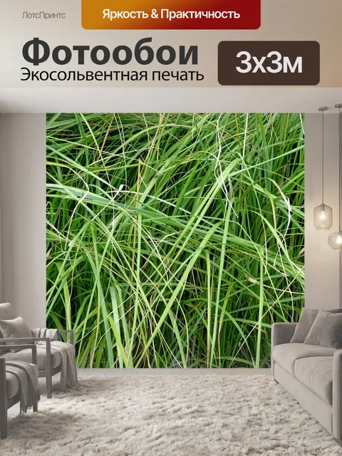Фотообои Заросшая трава сада