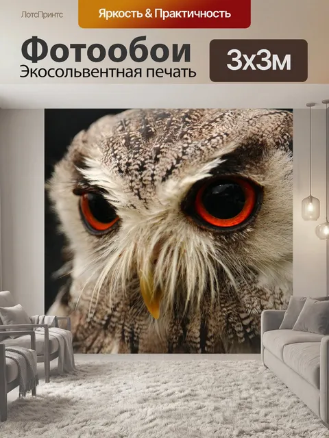 Фотообои Птица