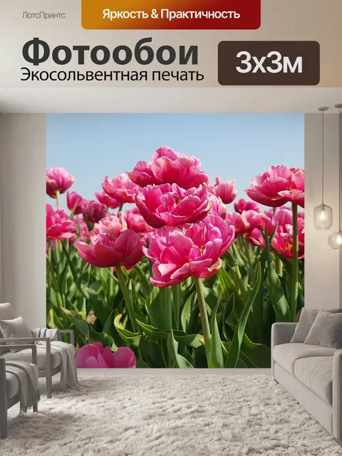 Фотообои Тюльпаны