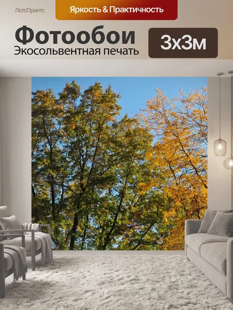 Фотообои Деревья