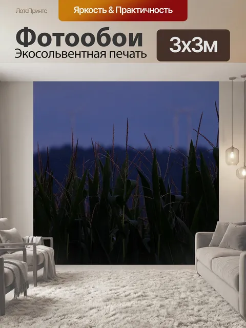 Фотообои Сумерки