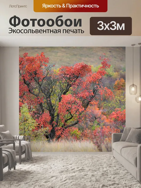 Фотообои Дерево дыма