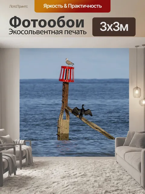 Фотообои Птицы
