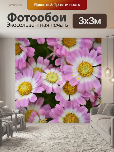 Фотообои Цветы