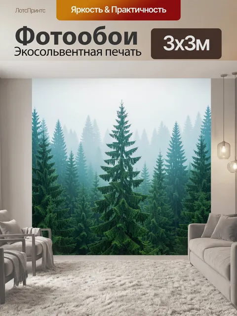 Фотообои Туманный хвойный лес