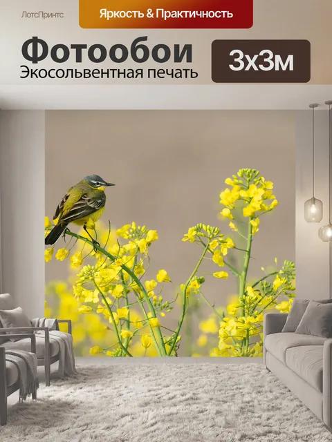 Фотообои Птица