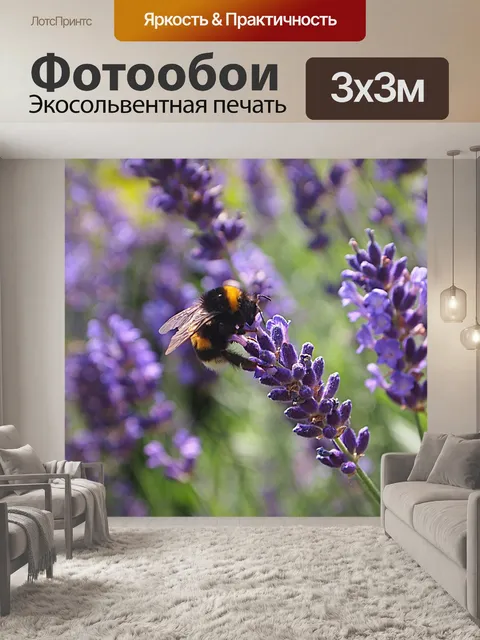 Фотообои Лаванда