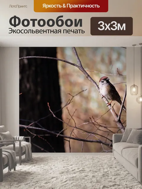 Фотообои Птица