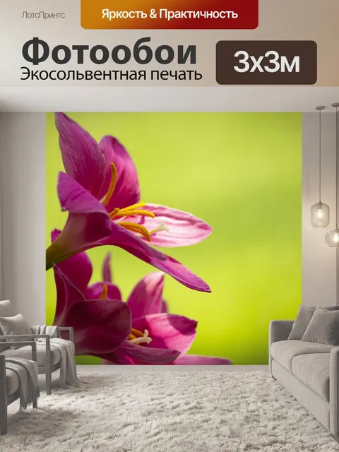 Фотообои Лили