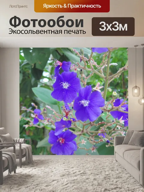 Фотообои Цветы