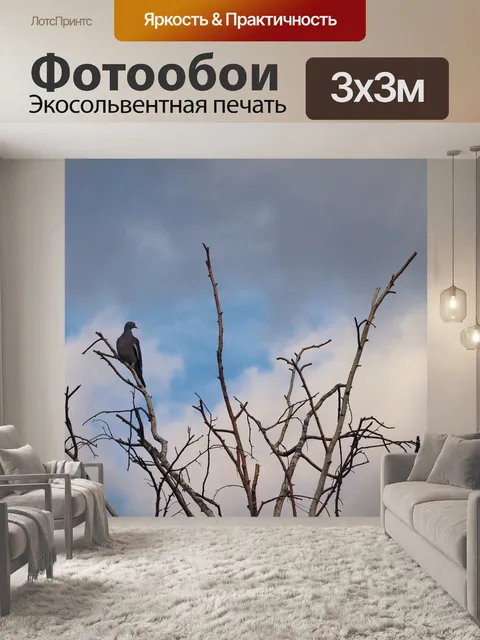 Фотообои Голуби
