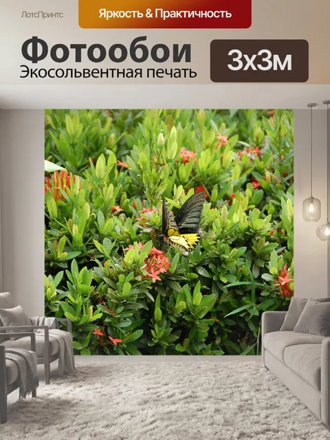 Фотообои Цветы