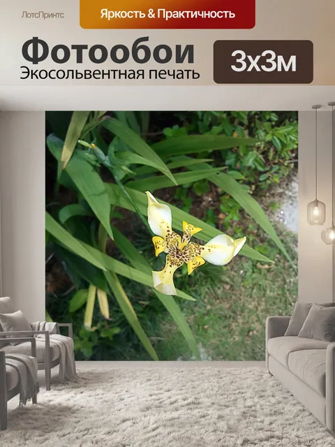 Фотообои цветок орхидеи 4