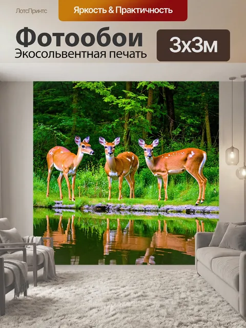 Фотообои с оленями у кристально чистого озера
