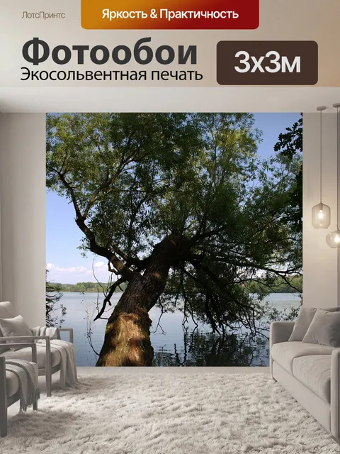 Фотообои Дерево