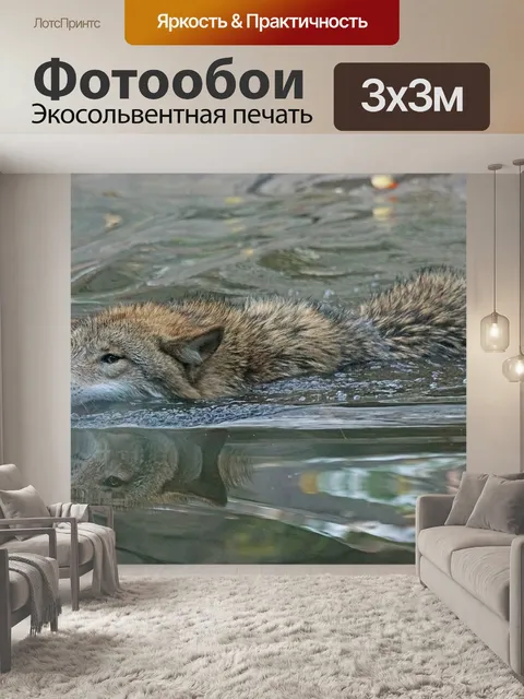 Фотообои Волк