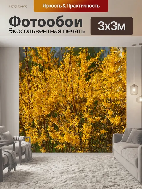 Фотообои Расцветает