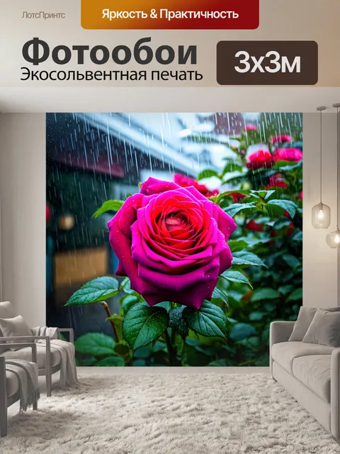 Фотообои розы в дождливый день