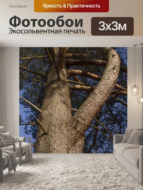 Фотообои Дерево