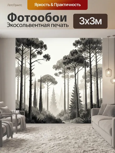 Фотообои Туманный лес с высокими соснами