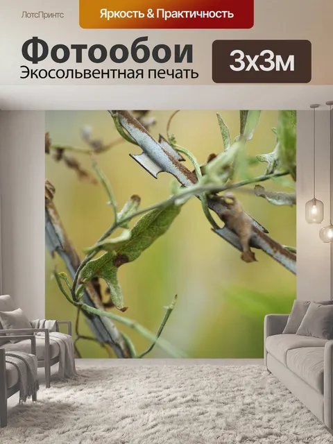 Фотообои Цветок