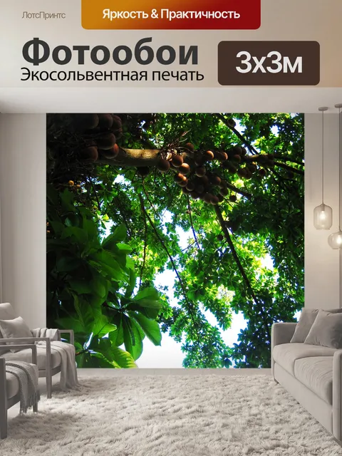 Фотообои пушечное ядро дерево плоды на дереве