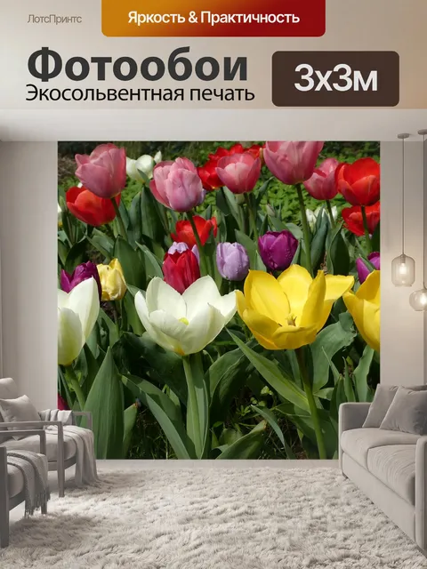 Фотообои Цветок