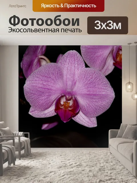 Фотообои Фон