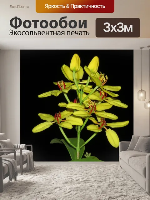 Фотообои Тюльпан