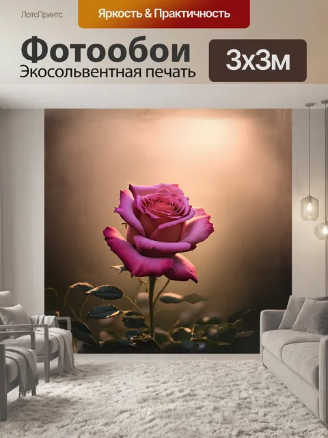 Фотообои распустившаяся роза, окружённая утренним туманом, предстает в игре света и теней, созданной мягким…