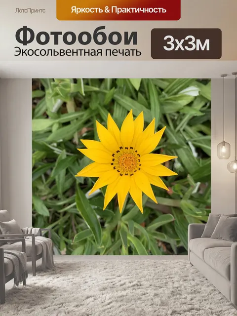 Фотообои Цветы