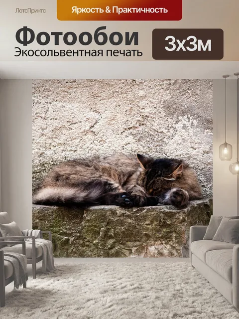 Фотообои Кошка