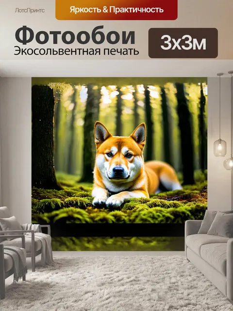 Фотообои в лесу, залитом утренним светом, крупным планом показана сиба ину, лежащая на мохнатом ковре