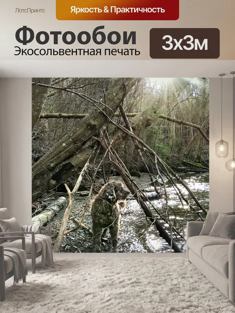 Фотообои Собака