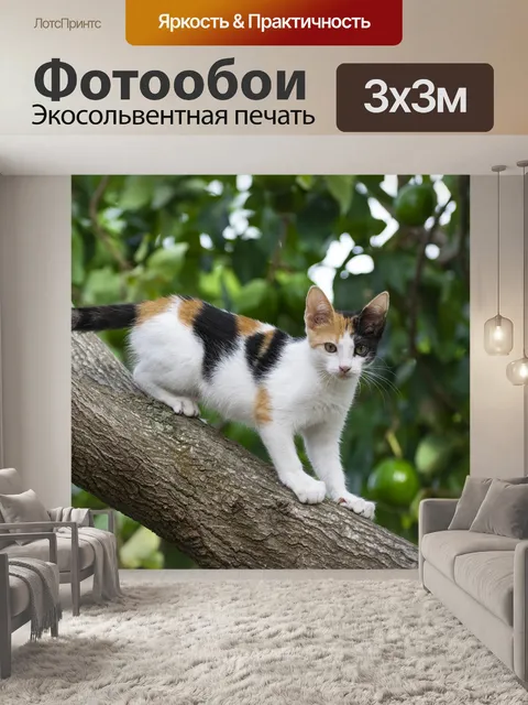Фотообои Кошка