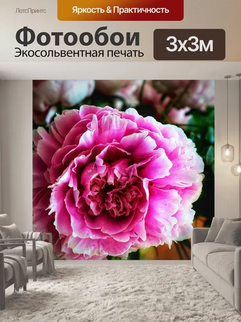 Фотообои Пионы