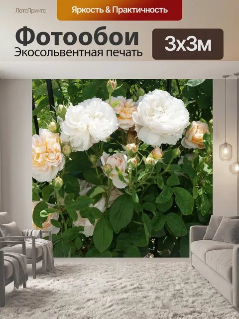 Фотообои Сад