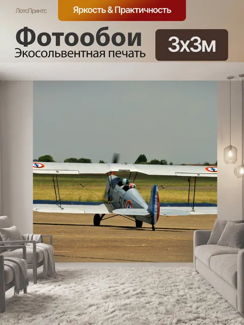 Фотообои Stampe биплан