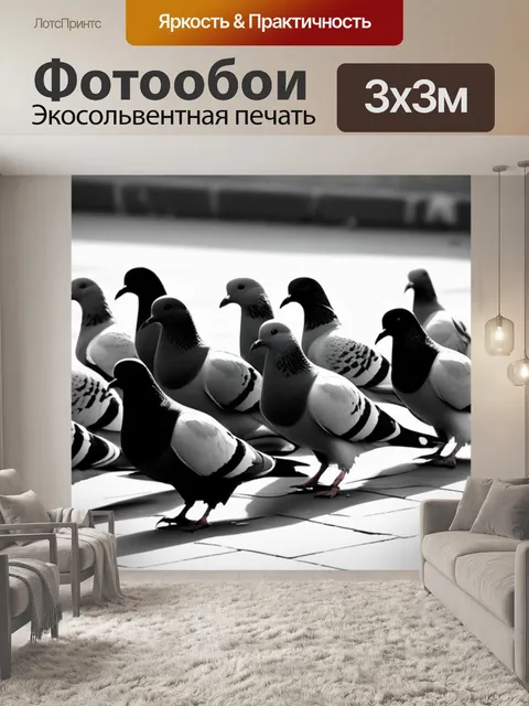 Фотообои с голубями чернобелый