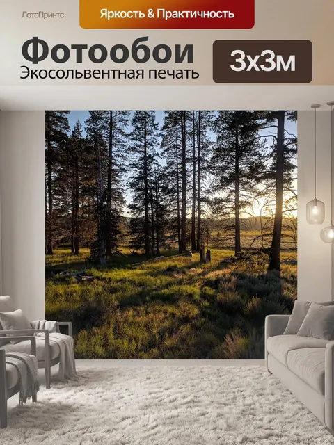 Фотообои Сосны