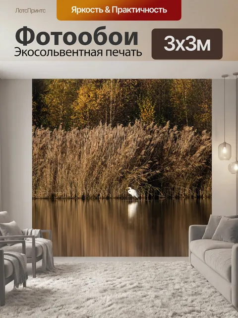 Фотообои Цапля