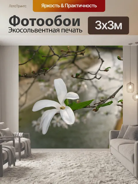 Фотообои Магнолия