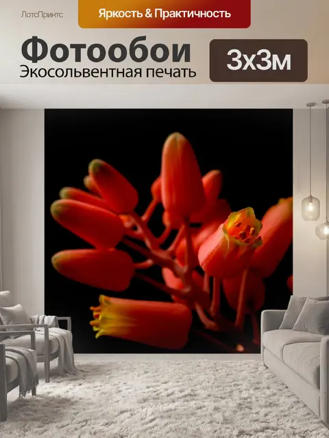 Фотообои Цветок