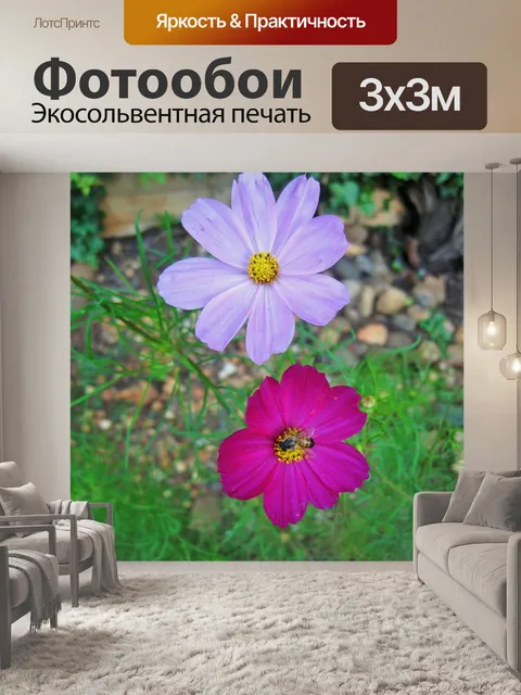 Фотообои Пчела на космосе