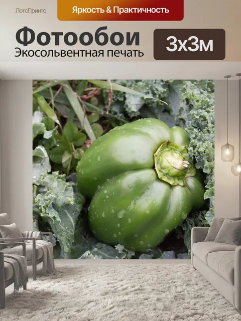 Фотообои Еда